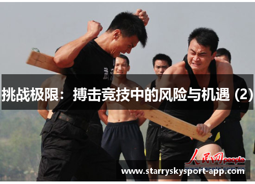 挑战极限：搏击竞技中的风险与机遇 (2)