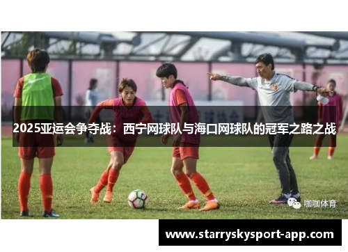 2025亚运会争夺战：西宁网球队与海口网球队的冠军之路之战